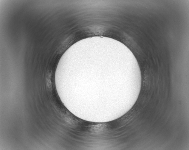 X0000059800122200511181525