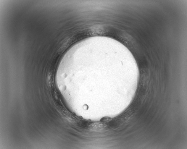 X0000059800123200511181525