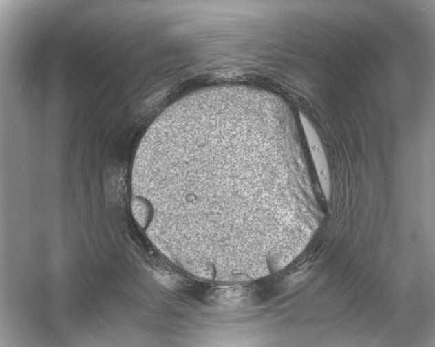 X0000059800127200511181524