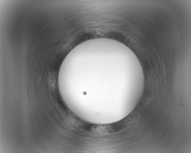 X0000059800129200511181524