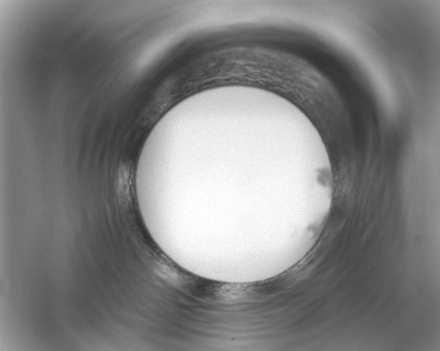 X0000059800142200511181524