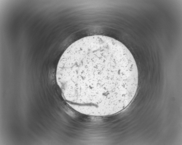 X0000059800144200511181524