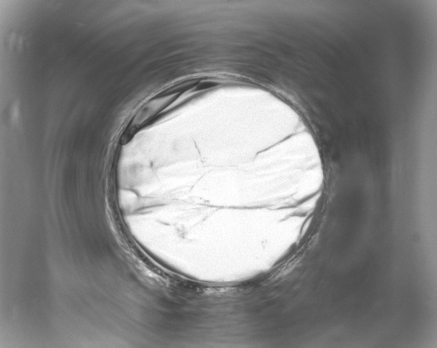 X0000059800145200511181523