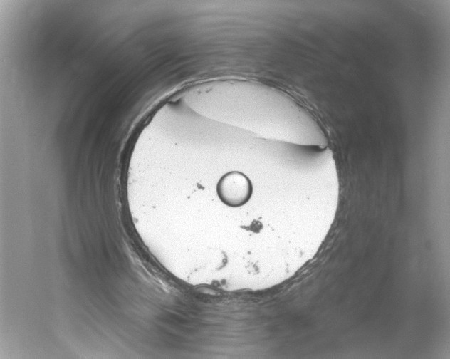 X0000059800146200511181523