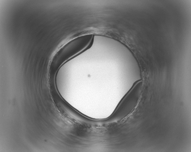 X0000059800150200511181523