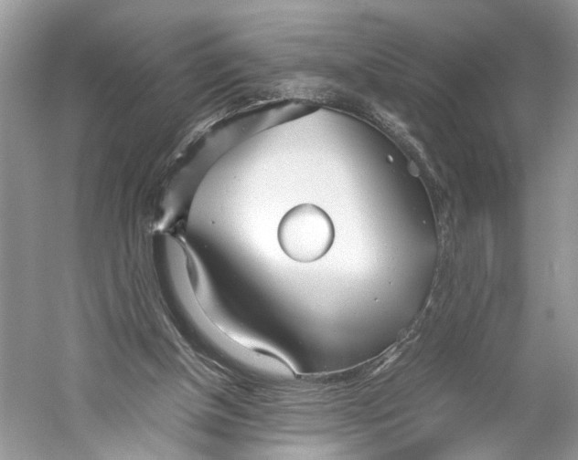 X0000059800154200511181523