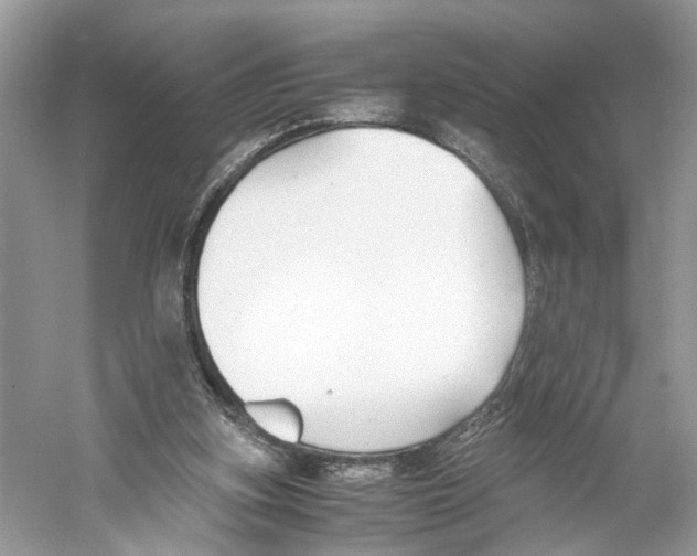 X0000059800155200511181524