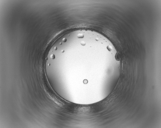 X0000059800156200511181524