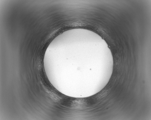 X0000059800164200511181524