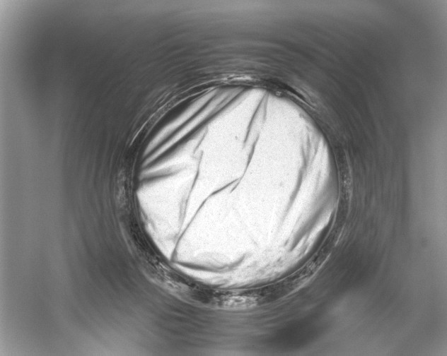 X0000059800169200511181524