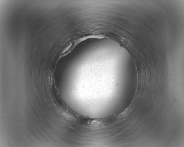 X0000059800180200511181524