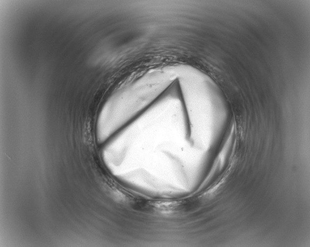 X0000059800182200511181524