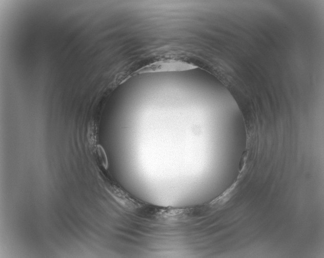 X0000059800186200511181524