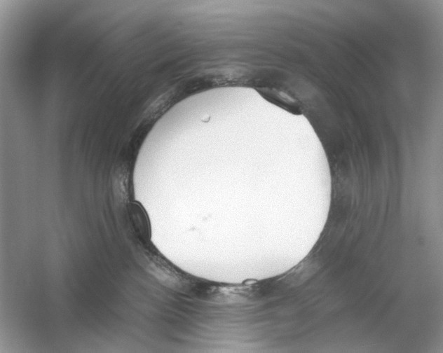 X0000059800188200511181524