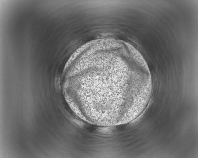 X0000059800191200511181524