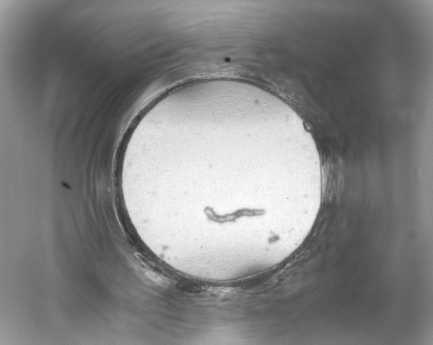 X0000059800195200511181523