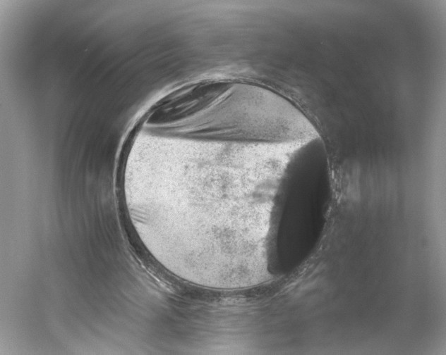 X0000059800196200511181523