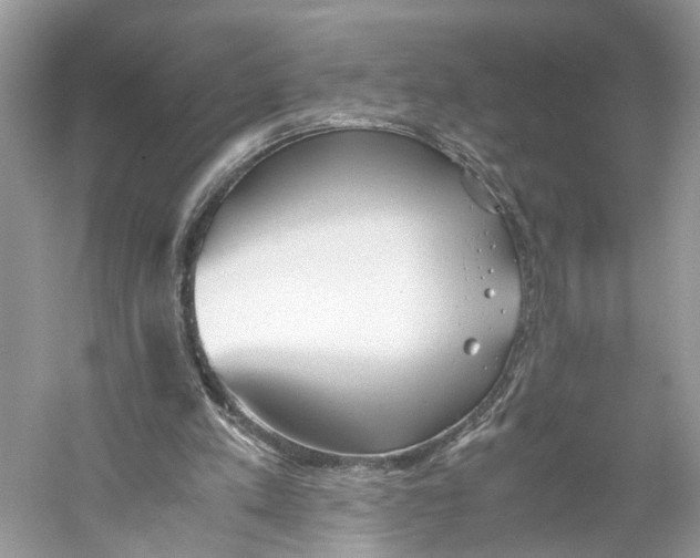 X0000059800197200511181523