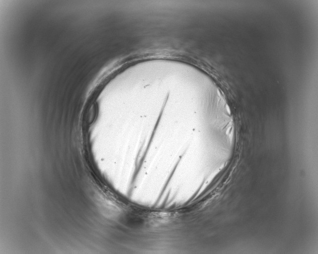 X0000059800198200511181523