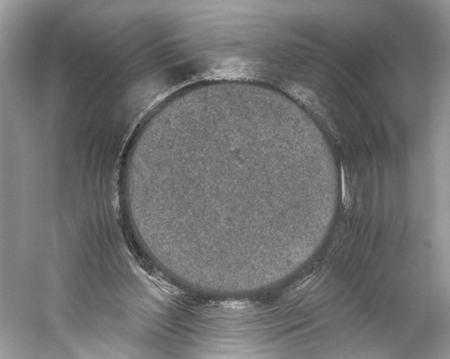 X0000059800204200511181523