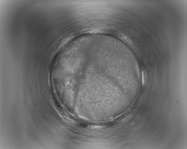 X0000059800205200511181523