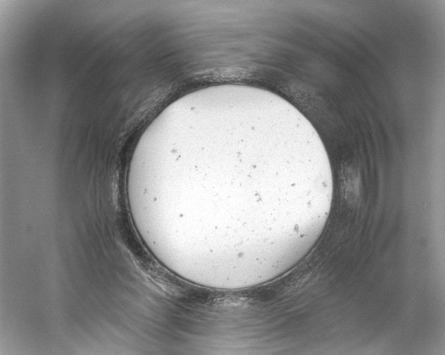 X0000059800206200511181523