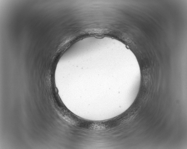 X0000059800207200511181523