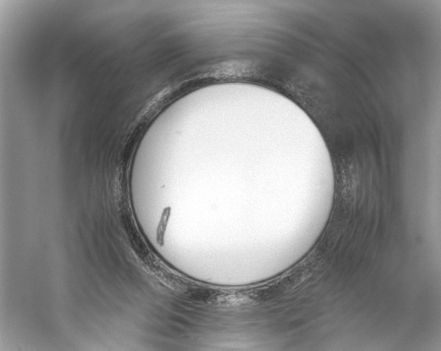 X0000059800208200511181523