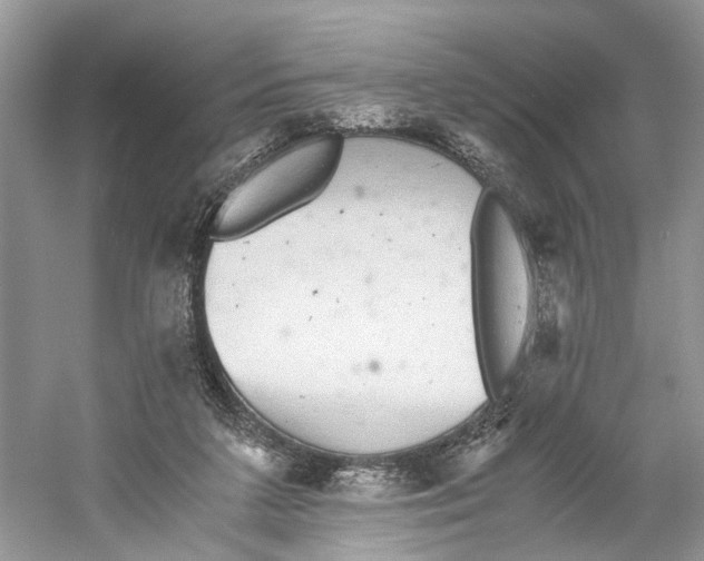 X0000059800211200511181523