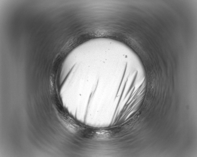 X0000059800214200511181523