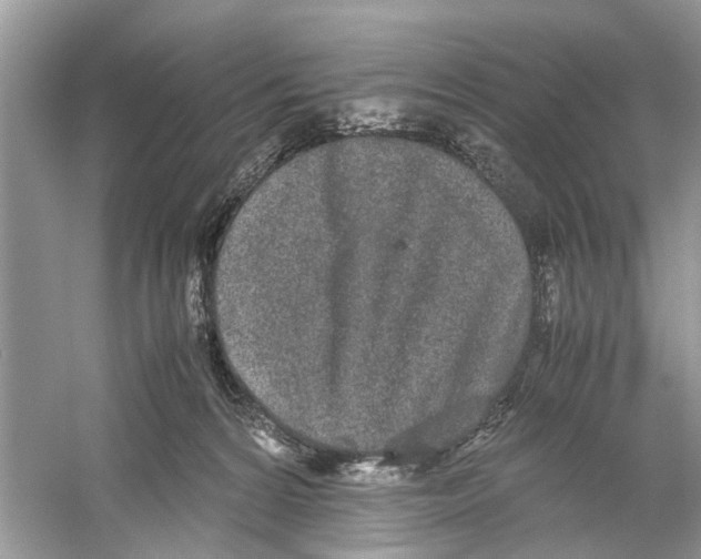 X0000059800224200511181523