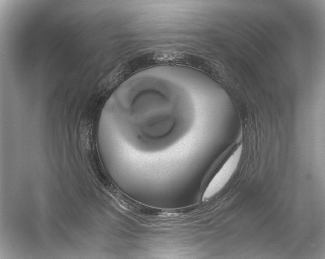 X0000059800227200511181523