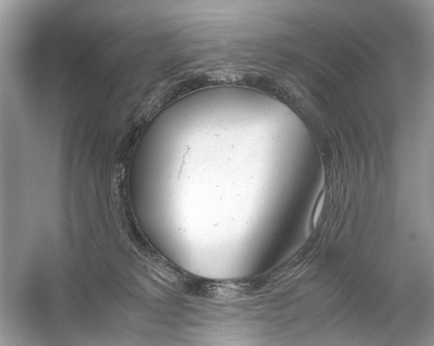 X0000059800229200511181523