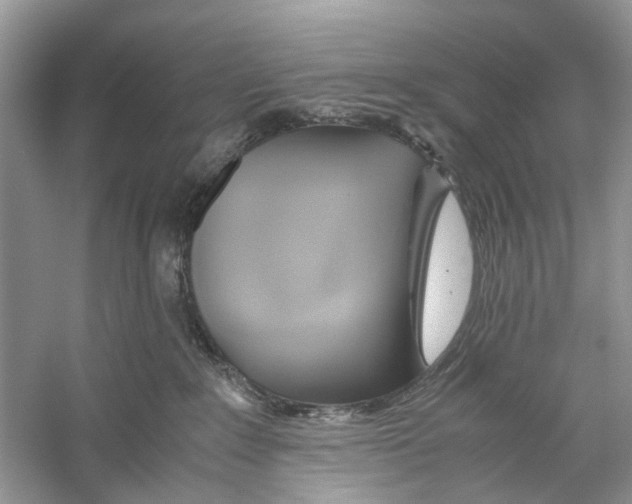 X0000059800235200511181523