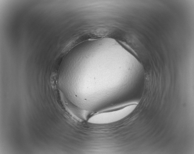 X0000059800237200511181523