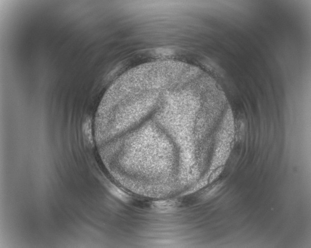 X0000059800238200511181523