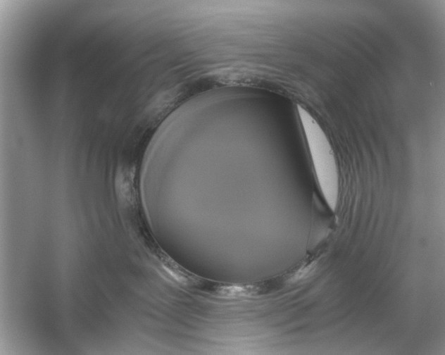 X0000059800239200511181523