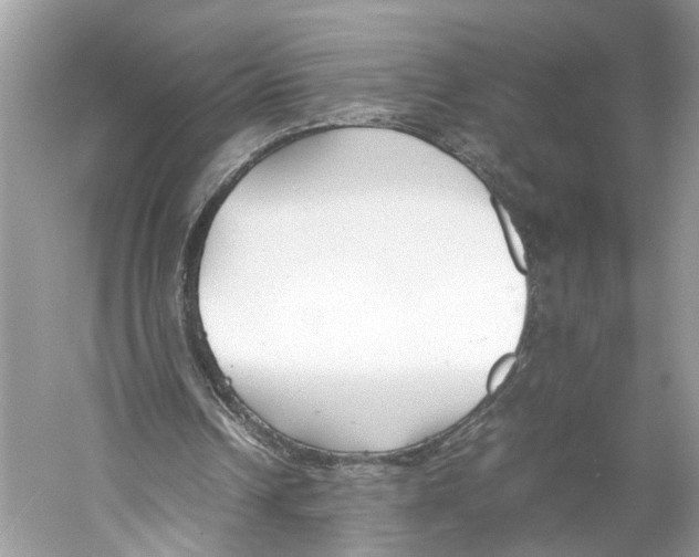 X0000059800242200511181522