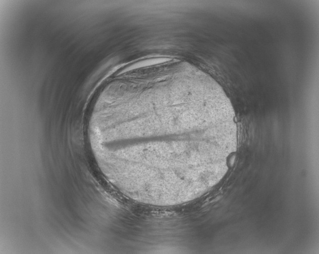 X0000059800243200511181522