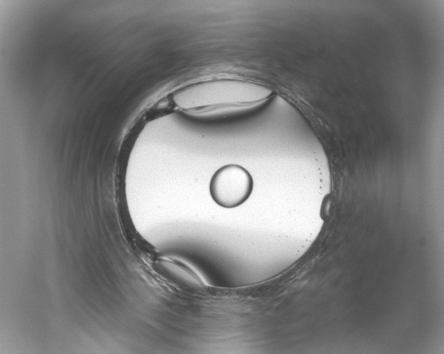 X0000059800244200511181522