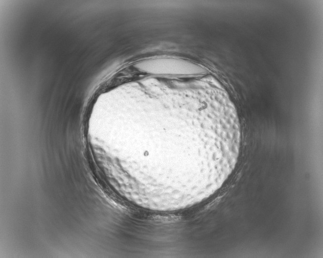 X0000059800245200511181522