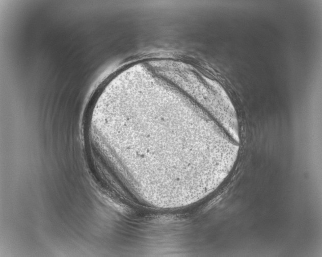 X0000059800246200511181522