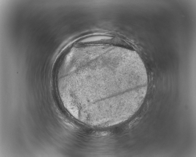 X0000059800247200511181522