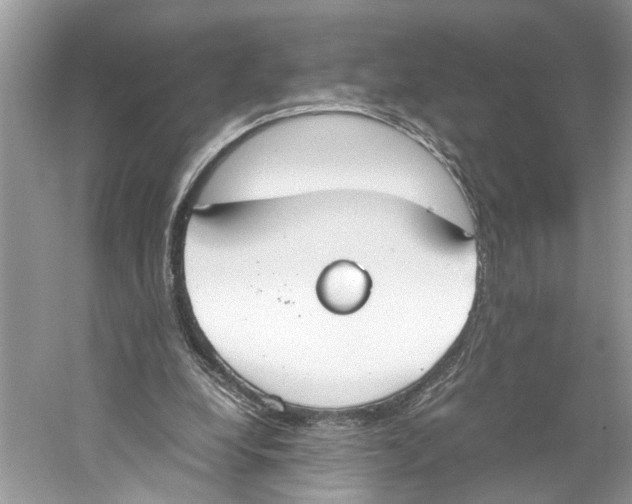 X0000059800248200511181522