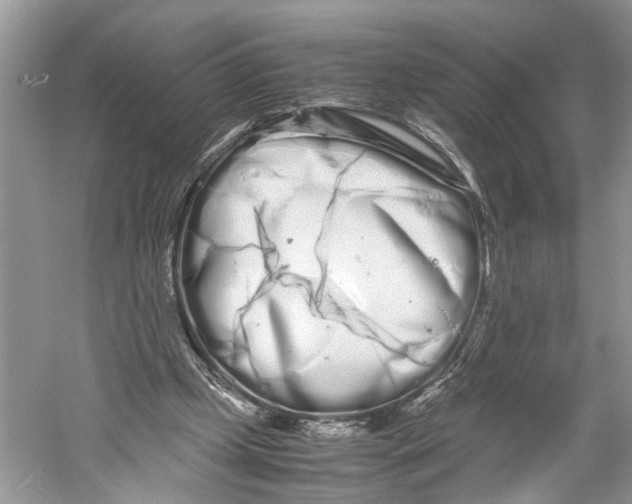 X0000059800249200511181522