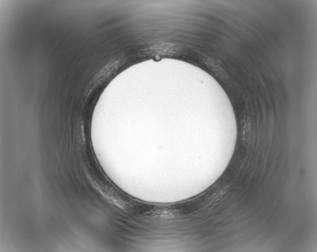 X0000059800254200511181522