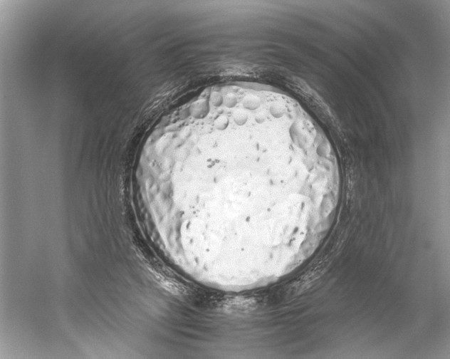 X0000059800257200511181522