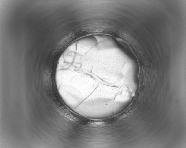 X0000059800258200511181522