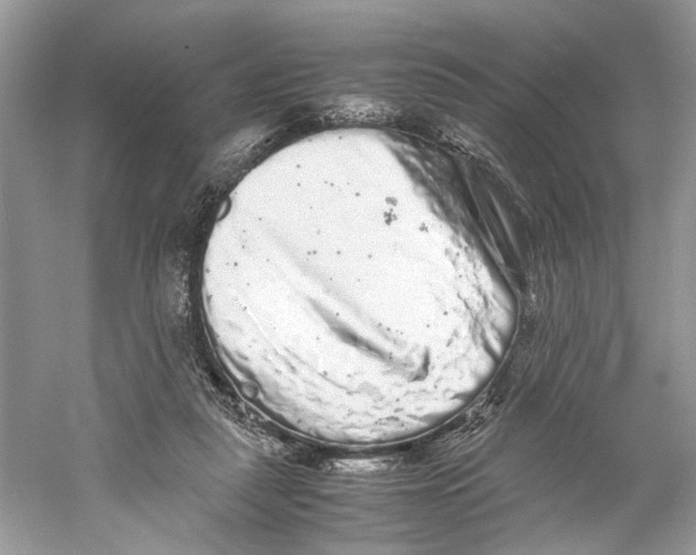 X0000059800259200511181522