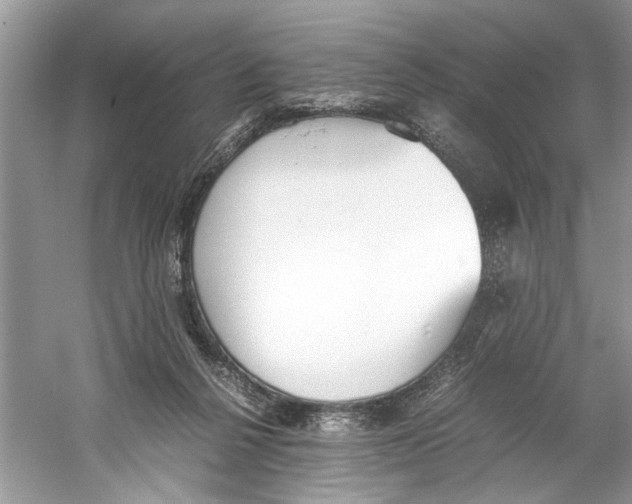 X0000059800264200511181522